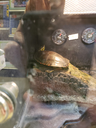 Pet Supply Store «PetSmart», reviews and photos, 10401 US-441, Leesburg, FL 34788, USA