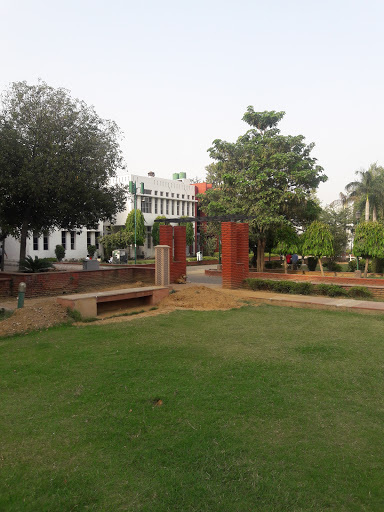 Department of Psychology - Jamia Millia Islamia