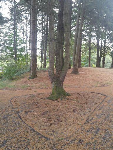 Park «Sacajawea Park», reviews and photos, 1401 S Dash Point Rd, Federal Way, WA 98003, USA