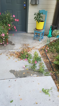 Summer Lawns, Inc - Photo 9 - Car repair in , Boise