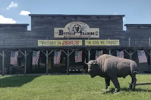 Buffalo Trading Co image