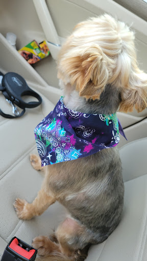 Pet Supply Store «Petco Animal Supplies», reviews and photos, 390 Universal Dr N, North Haven, CT 06473, USA