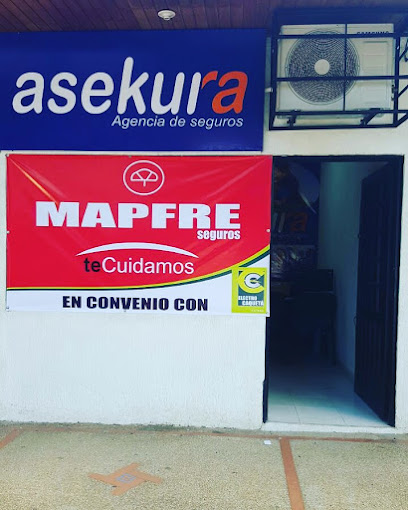 ASEKURA Agencia De Seguros Ltda