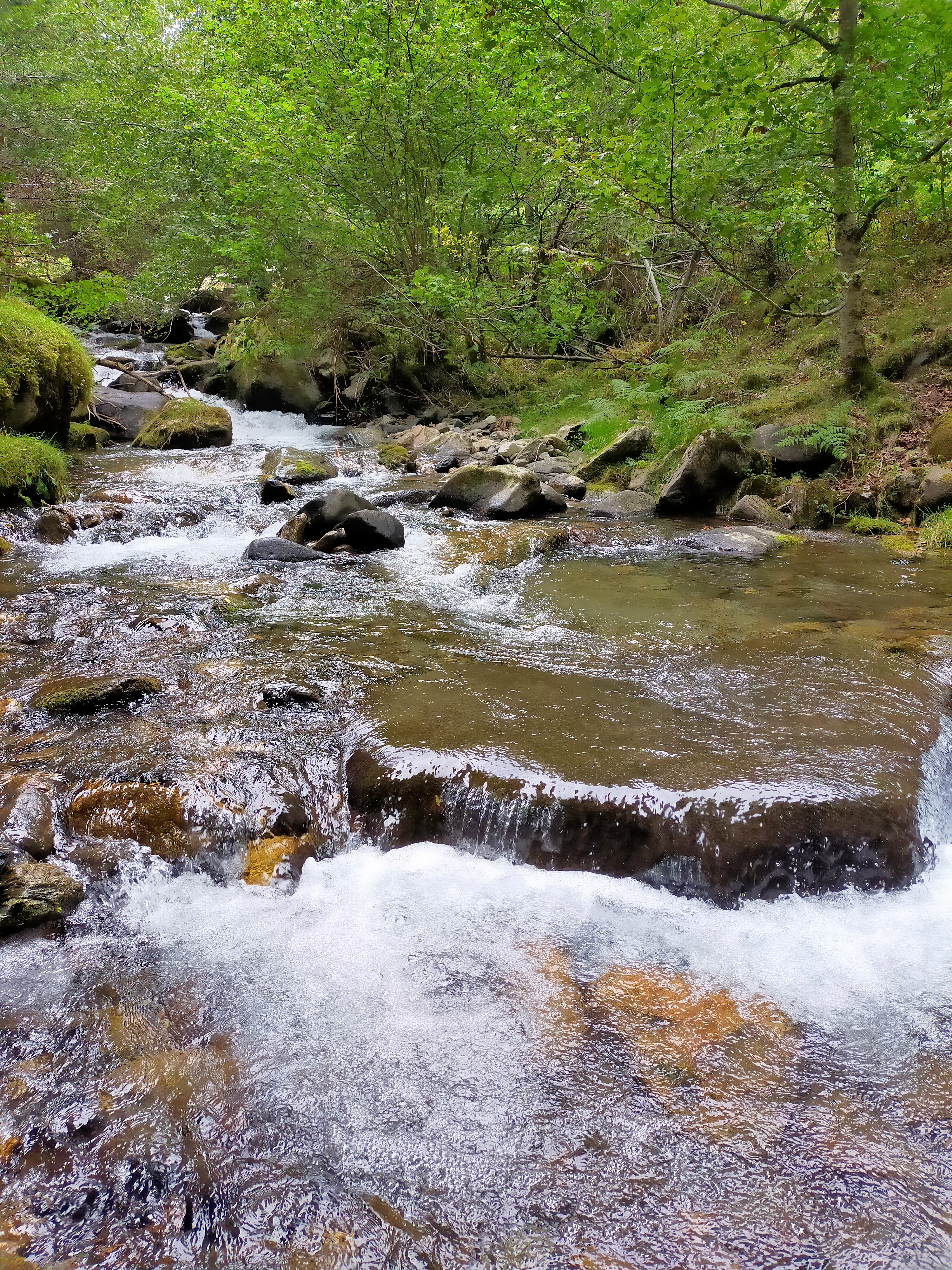 Photo n° 9 de l'avis de Bernadette.a fait le 16/09/2022 à 19:41