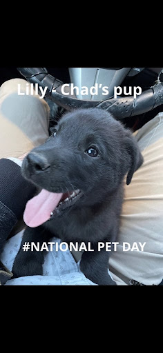 Insurance Agency «Kathleen Alexander - State Farm Insurance Agent», reviews and photos