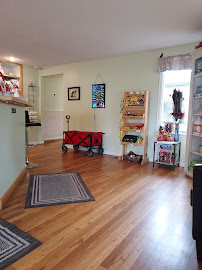 Cat Doctor: Roller Robin DVM - Photo 2 - Car repair in Boise, ID, Boise