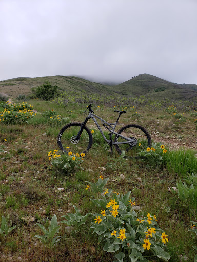 Bicycle Store «Fezzari», reviews and photos, 850 W 200 S, Lindon, UT 84042, USA