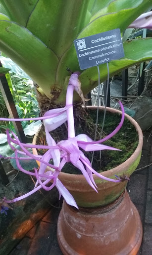 Botanical Garden «Olbrich Botanical Gardens», reviews and photos, 3330 Atwood Ave, Madison, WI 53704, USA