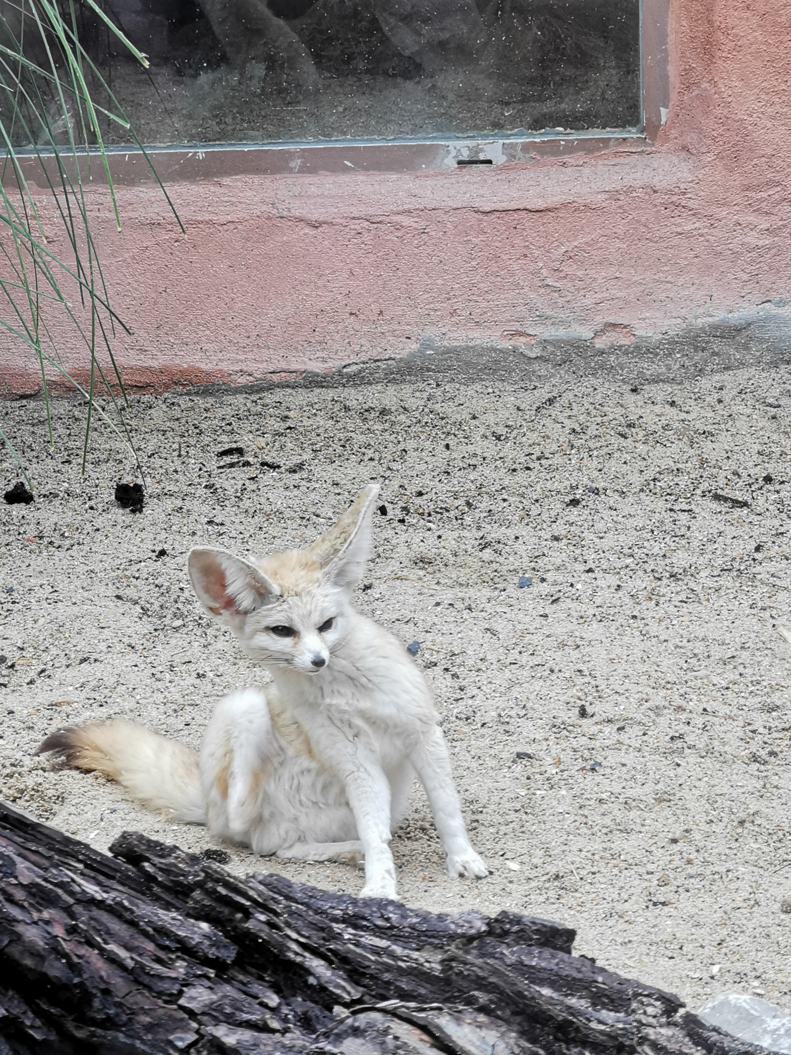 Photo n° 8 de l'avis de Bianca.a fait le 05/06/2022 à 15:50