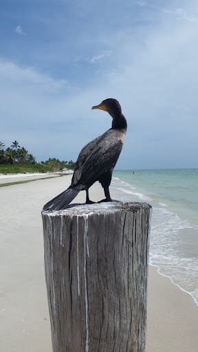 Club «Port Royal Club», reviews and photos, 2900 Gordon Dr, Naples, FL 34102, USA