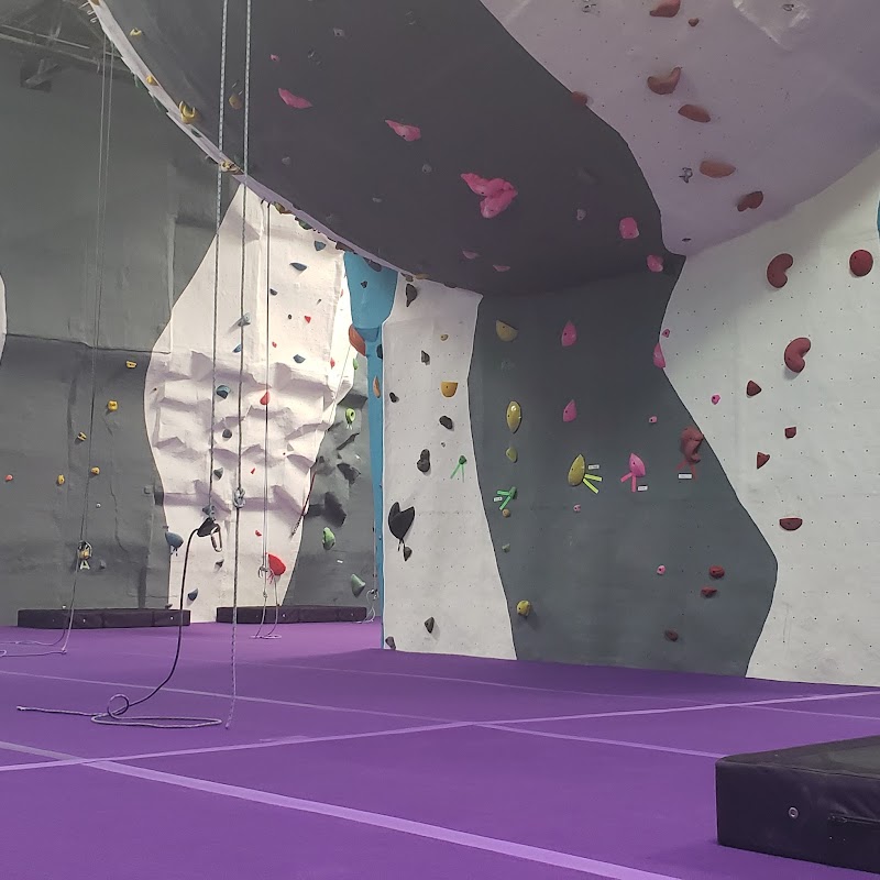 Ape Index Rock Climbing Gym