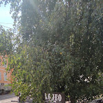 Photo n°6 de l'avis de mony.i fait le 26/08/2023 à 13:09 sur le  Bar Ristorante Rodeo cucina no stop à Ruffrè-Mendola