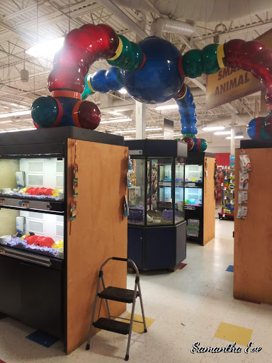 Pet Supply Store «Petco Animal Supplies», reviews and photos, 48 Watertower Plaza, Leominster, MA 01453, USA