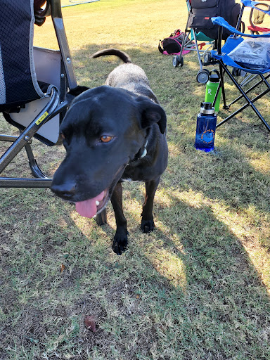 Park «Harmony Park», reviews and photos, 699 Indian Creek Dr, Trophy Club, TX 76262, USA