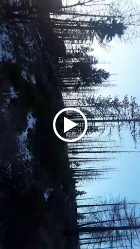 National Park «Kings Canyon National Park», reviews and photos