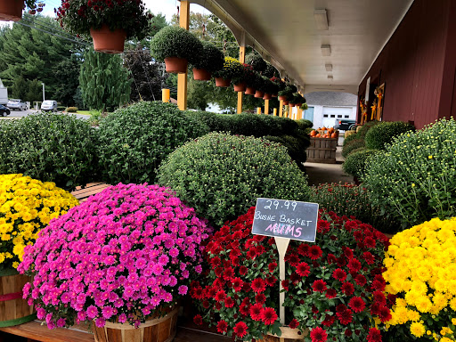 Produce Market «Dzen Garden Market», reviews and photos, 187 Windsorville Rd, Ellington, CT 06029, USA