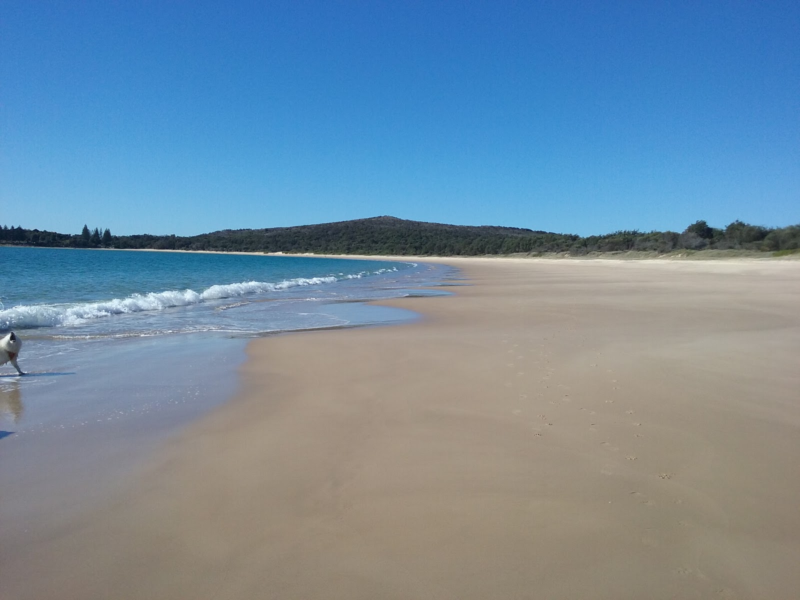 Photo de Trial Bay Front Beach zone des équipements