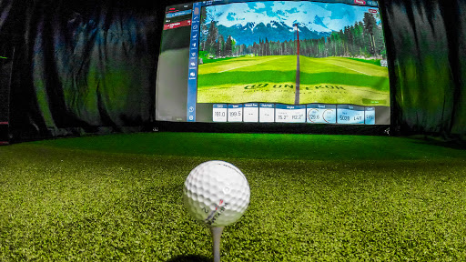 Ann Arbor Indoor Golf