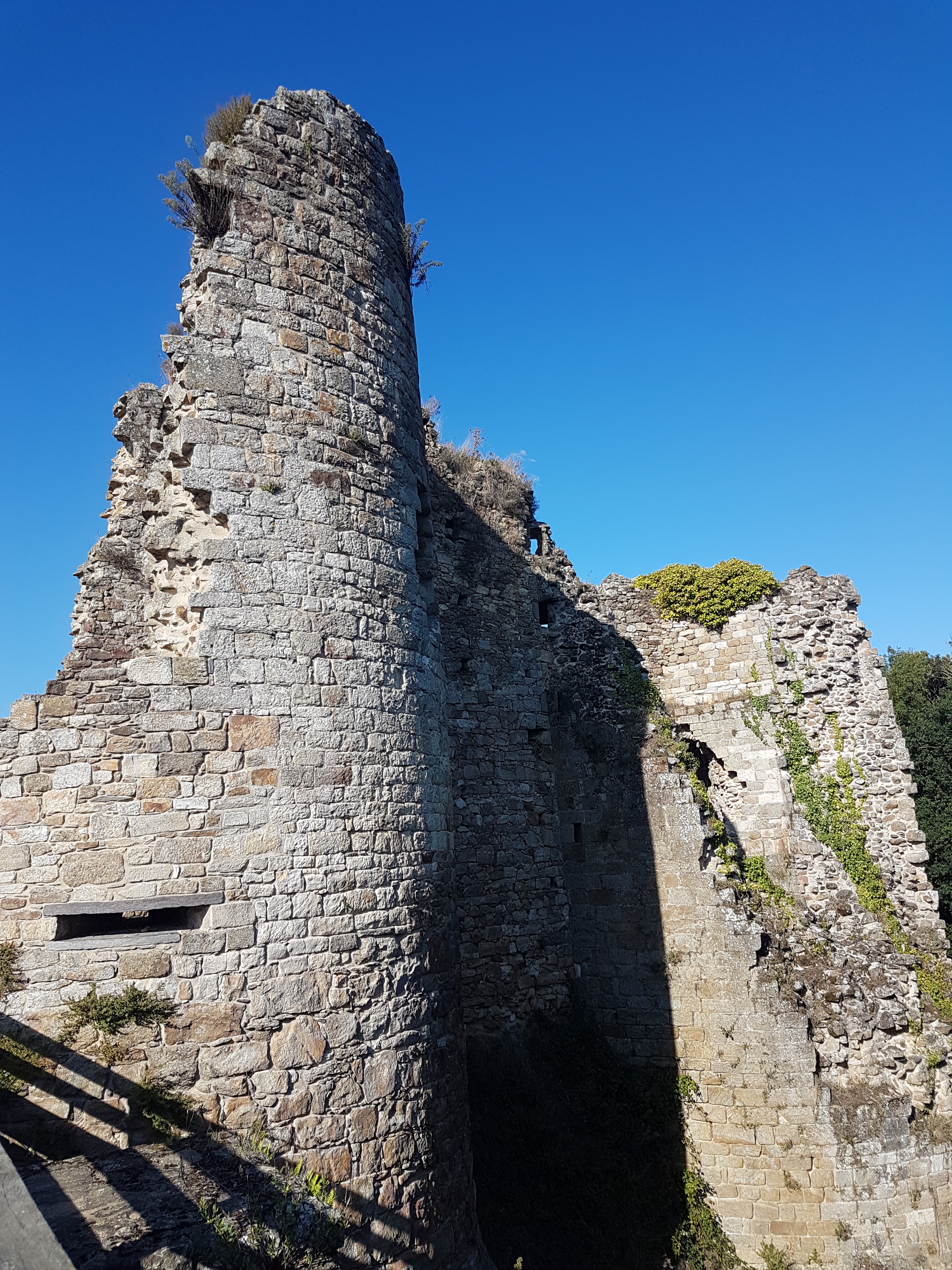 Photo n° 3 de l'avis de Maryse.l fait le 18/09/2019 à 12:23