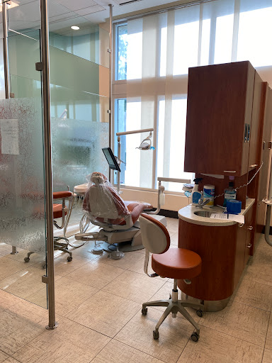 9035 SW 73rd Pl, Miami, FL 33156, USA