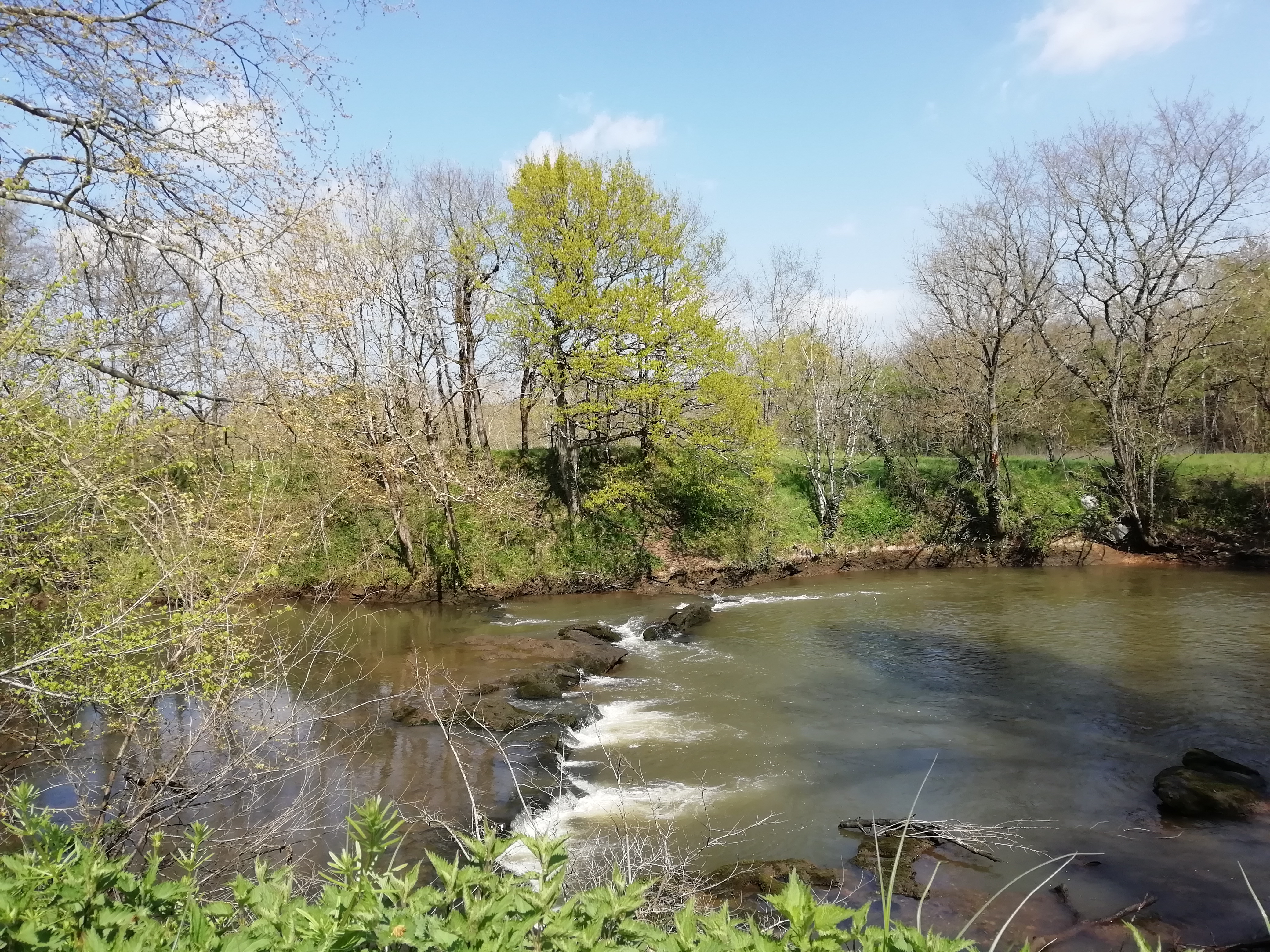 Photo n° 5 de l'avis de Patricia.e fait le 12/04/2019 à 15:15