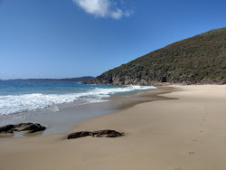Foto de Wreck Beach área selvagem
