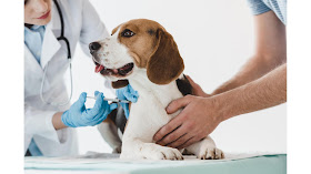 Clínica Veterinaria Nuestros Hermanos Menores