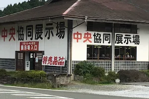 Tourism Info and pottery store image