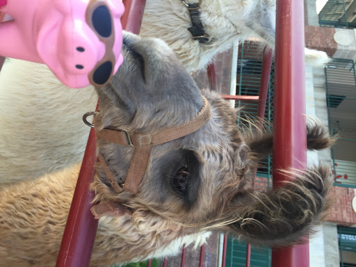 Insurance Agency «Allsup», reviews and photos