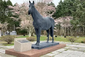 Omai Horse Park image