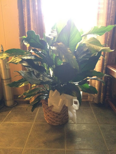 Florist «Zimlich the Florist», reviews and photos, 95 N Sage Ave, Mobile, AL 36607, USA