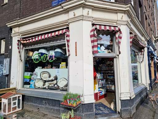 Reptielenwinkels Amsterdam