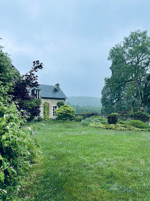 Allée de séquoias à Alligny-en-Morvan