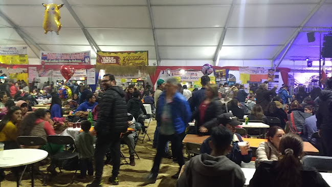 Opiniones de Cancha De Los Huertos Familiares en San Pedro de La Paz - Campo de fútbol