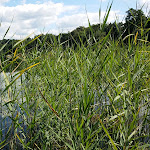 Photo n°1 de l'avis de Gerhard.c fait le 17/08/2016 à 14:57 sur le  Gasthaus Westensee à Westensee