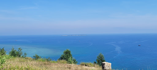 Top 20 cửa hàng akemi Huyện Lý Sơn Quảng Ngãi 2022