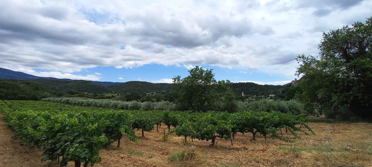 domaine des rochers à Entrechaux (Vaucluse 84)