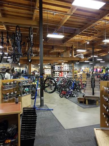 Camping Store «REI», reviews and photos, 1148 Galleria Blvd, Roseville, CA 95678, USA