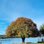 Photo n° 3 de l'avis de Isabelle.a fait le 25/10/2023 à 19:06 pour Plage d'Aiguebelette-le-Lac à Aiguebelette-le-Lac