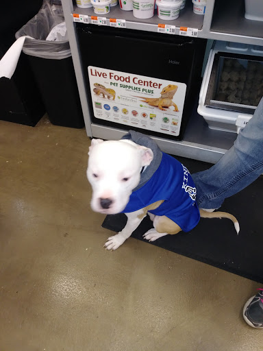 Pet Supply Store «Pet Supplies Plus», reviews and photos, 6030 Central Ave Suite A, Portage, IN 46368, USA