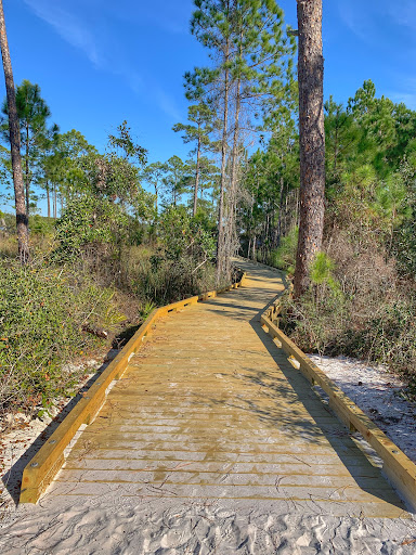 Gator Lake Trail