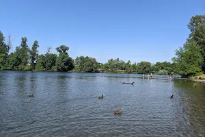 Maurie Jacobs Park image