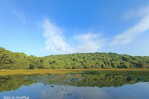 Pilerne Lake / Bird Watching Point image