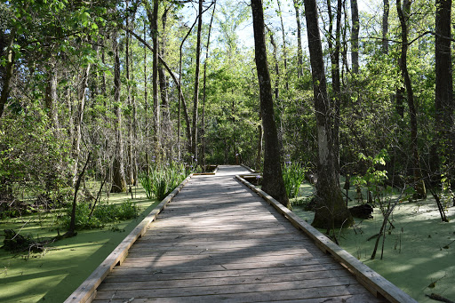 Museum «Burden Museum & Gardens», reviews and photos, 4560 Essen Ln, Baton Rouge, LA 70809, USA