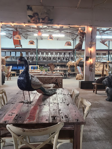 Furniture Store «Home Design Store», reviews and photos, 490 Biltmore Way, Coral Gables, FL 33134, USA