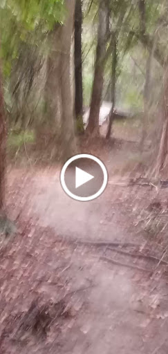 Nature Preserve «Oak Cliff Nature Preserve», reviews and photos, 2875 Pierce Street, Dallas, TX 75233, USA