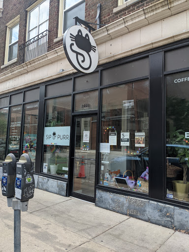 Sip & Purr Cat Café