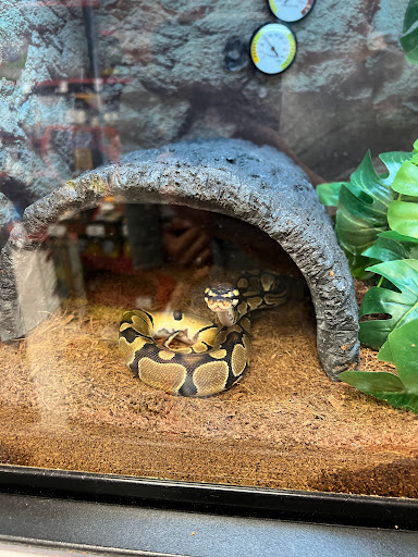 Pet Supply Store «Petco Animal Supplies», reviews and photos, 3012 Bridgepointe Pkwy, San Mateo, CA 94404, USA