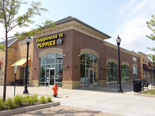 Happiness Is Pets, 2936 Showplace Dr, Naperville, IL 60564, USA, 
