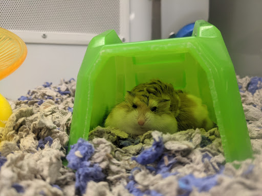 Pet Supply Store «Petco Animal Supplies», reviews and photos, 1310 Tingle Cir E b, Mobile, AL 36606, USA